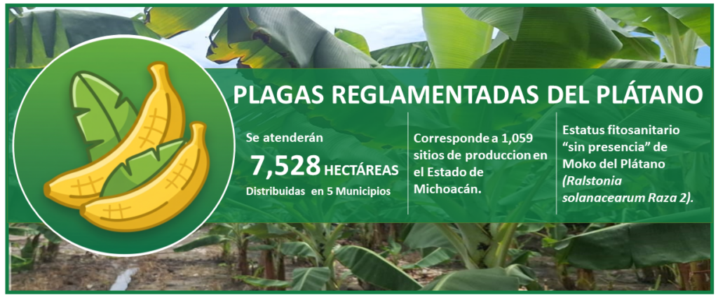 Esta imagen tiene un atributo ALT vacío; su nombre de archivo es Diapositiva4-1024x429.png